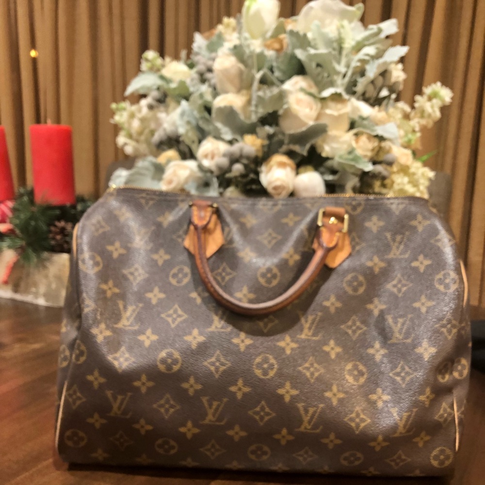 Louis Vuitton Monogram Speedy